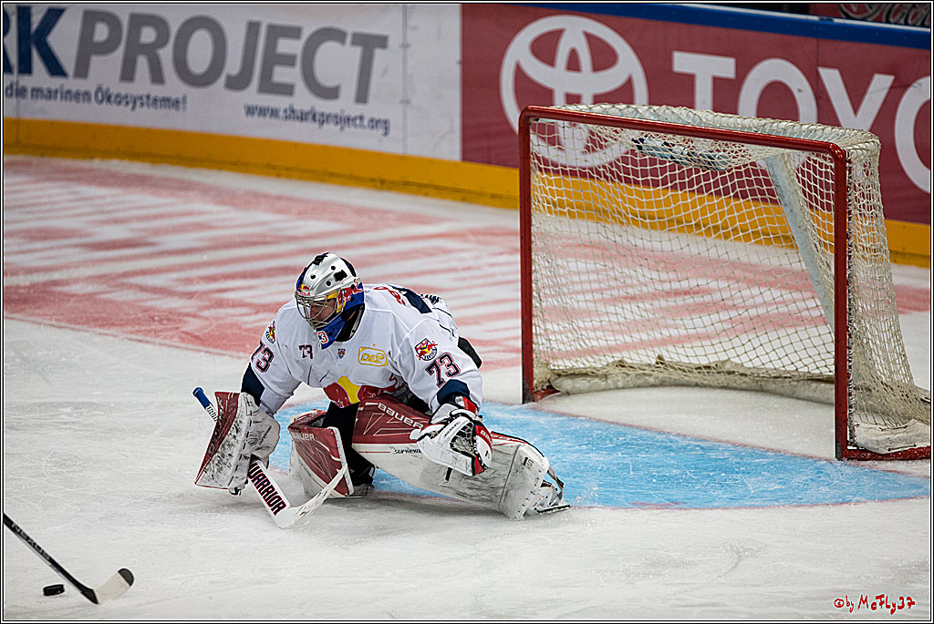 Koelner Haie - EHC Red Bull Muenchen , 16.09.16(KW37)